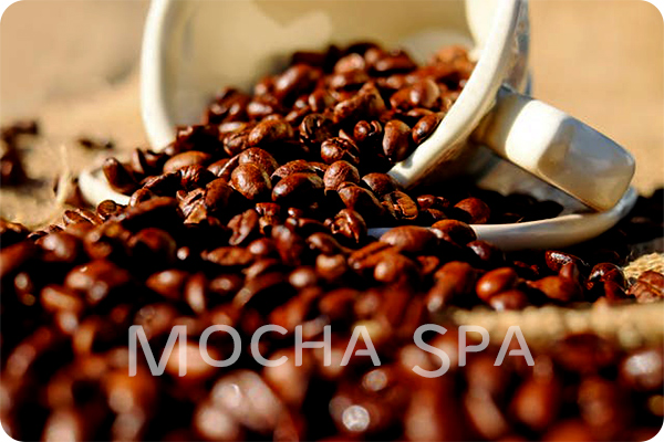 mocha-spa.jpg