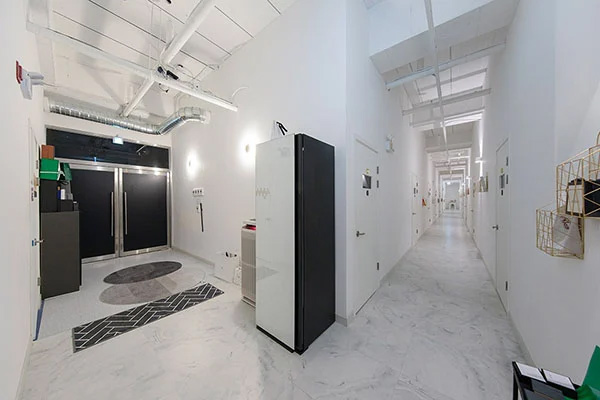 수원-까멜리아1