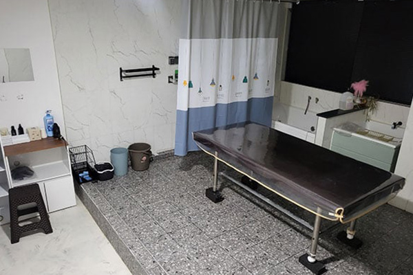 수원-까멜리아3