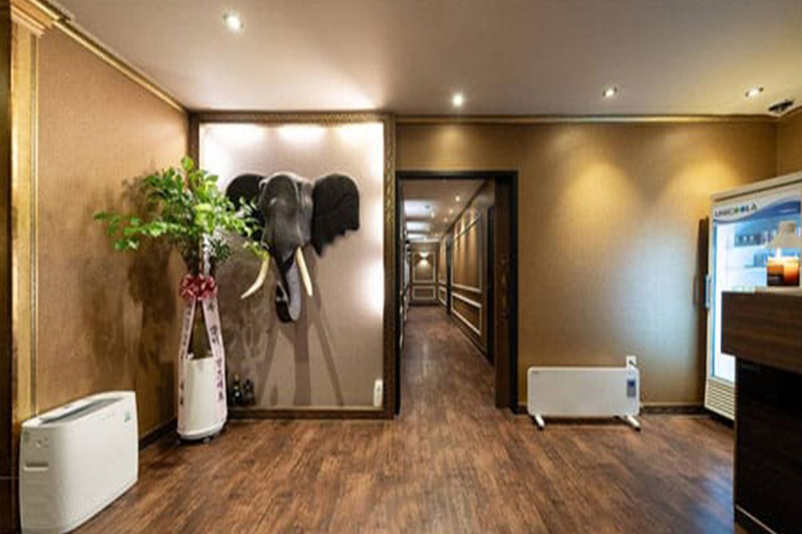 일산-장항동-미스웨디시03