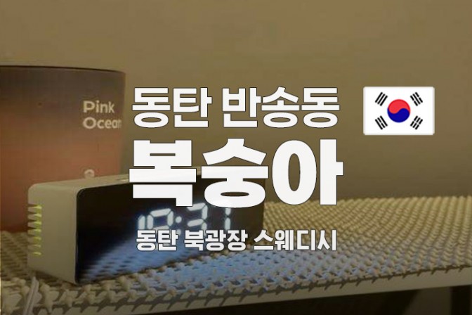 동탄 복숭아테라피.jpg