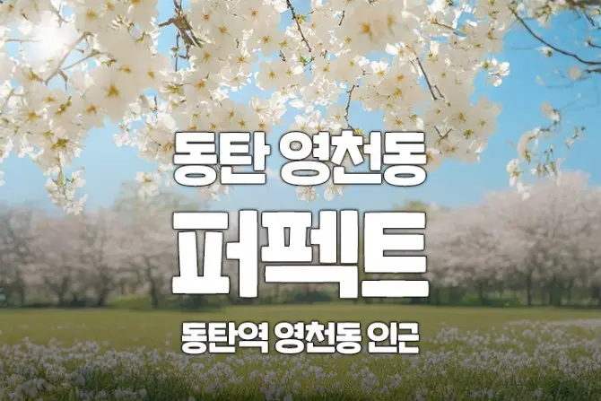 동탄 영천동 1인샵 [퍼펙트] 스웨디시 마사지 대표 이미지