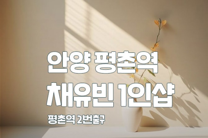 안양평촌-채유빈1인샵