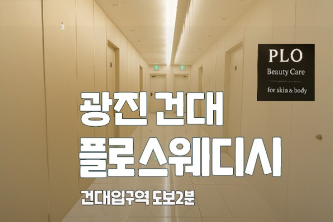 건대-플로스웨디시