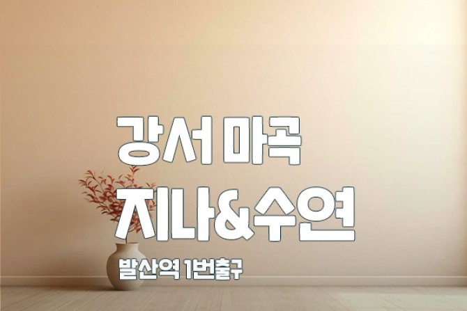 강서-지나-수연샵