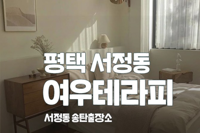 평택-서정동-여우테라피