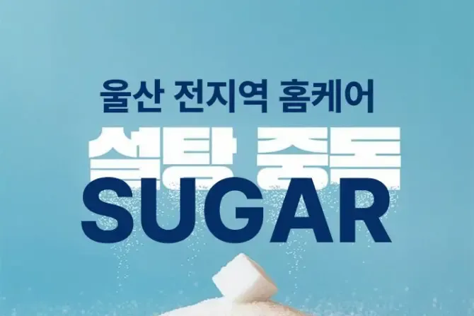 설탕홈케어 울산홈케어 마사지샵